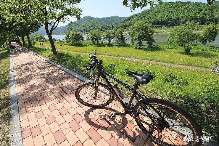 자전거로 유채꽃 가득 금강을 달리자 사진