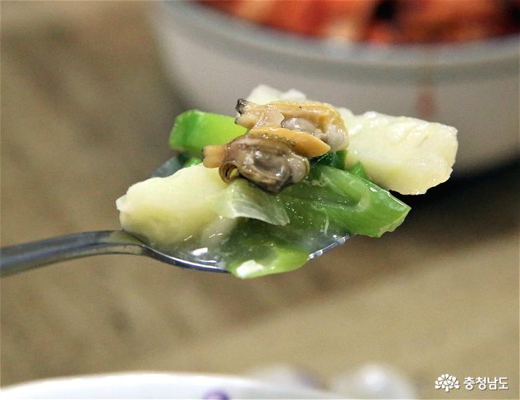 서해바지락 이미지