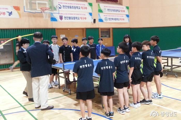 쌍용초, 학교스포츠클럽 탁구대회서 남·여부 동반 우승 '쾌거'