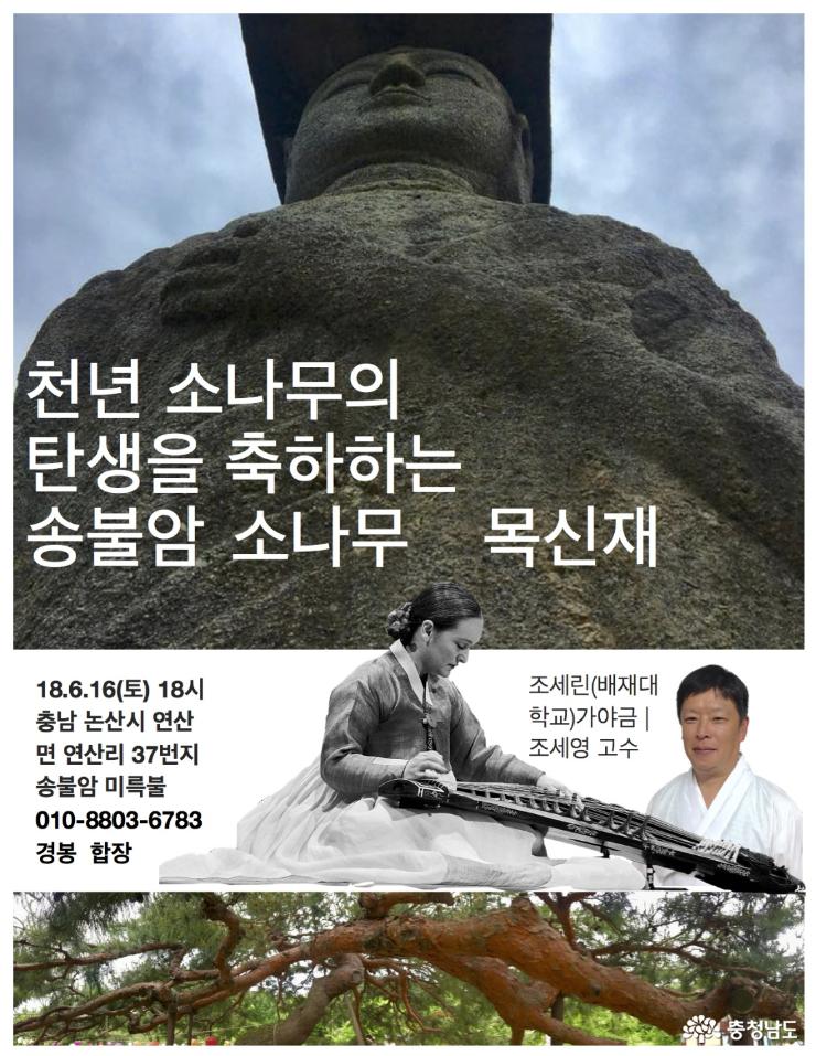 논산 송불암 미륵불 천년송 목신재