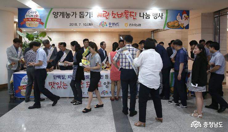 “시중에 유통되는 계란은 안전합니다” 3