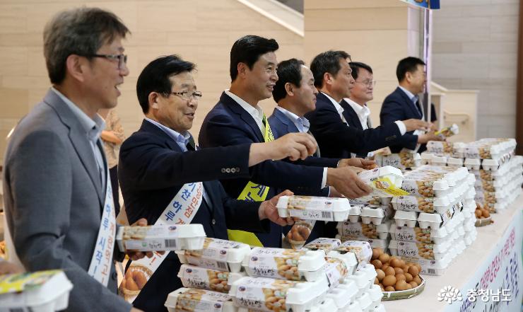 “시중에 유통되는 계란은 안전합니다” 4