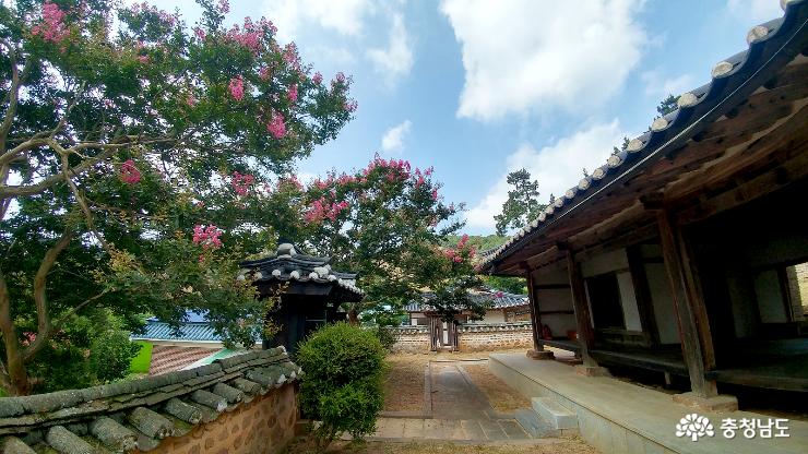 충남에서 멋진 배롱나무꽃이 피는 3곳