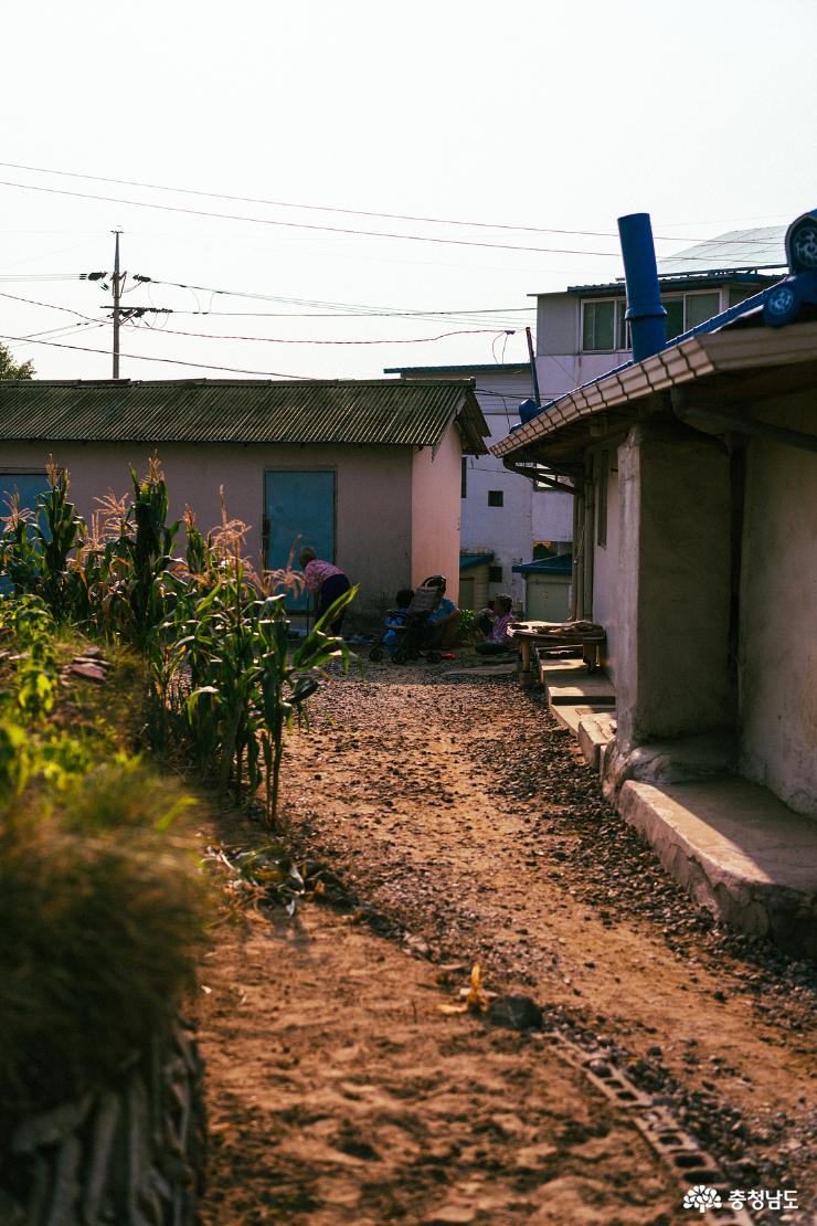 [여행에세이] 공세리의 좁은 시골 마을 언덕 사진
