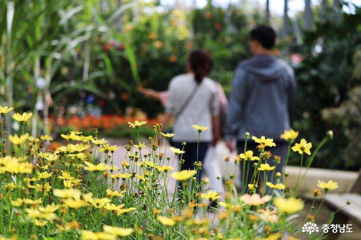 꽃향기 가득한 아산세계꽃식물원