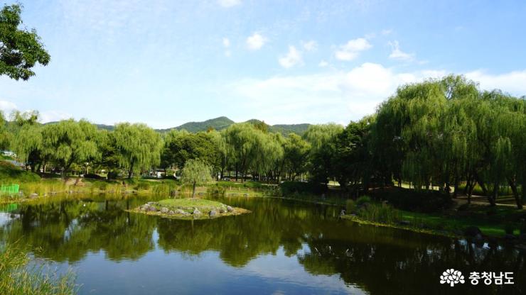 가을가을한 천안삼거리공원 사진