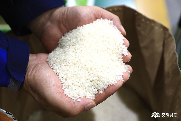 완제품 해나루쌀 알곡을 박승석 대표가 한움큼 떠서 보여주고 있다. 해나루쌀은 당진시는 물론 충청남도의 자랑이다.