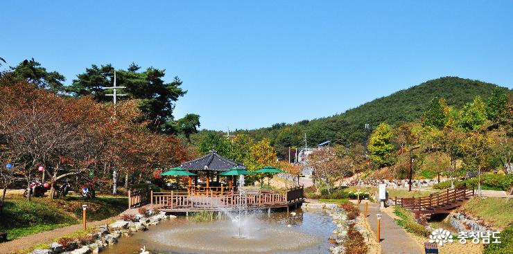 가을이 춤추는 당진 삼선산 수목원 사진
