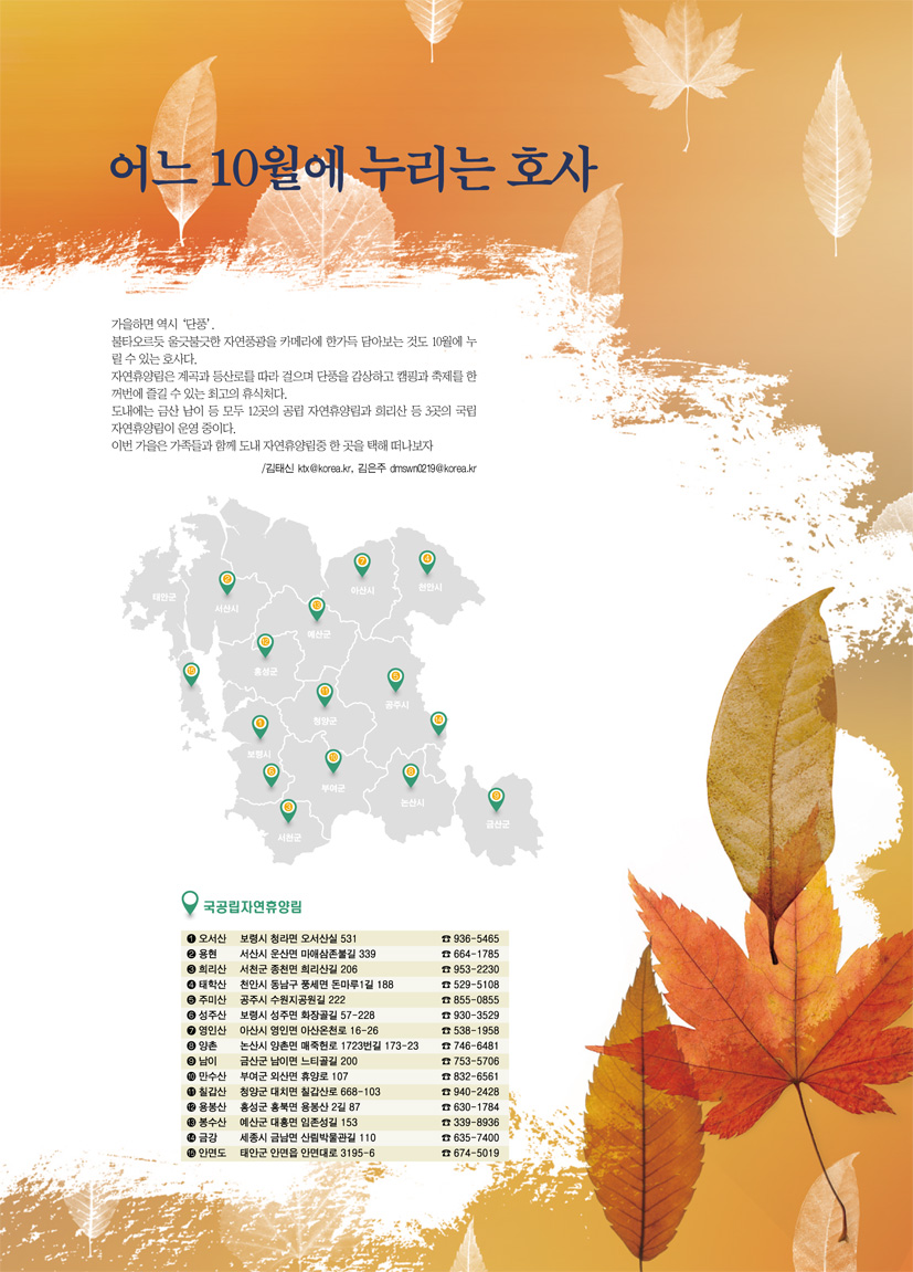 어느 10월에 누리는 호사 1