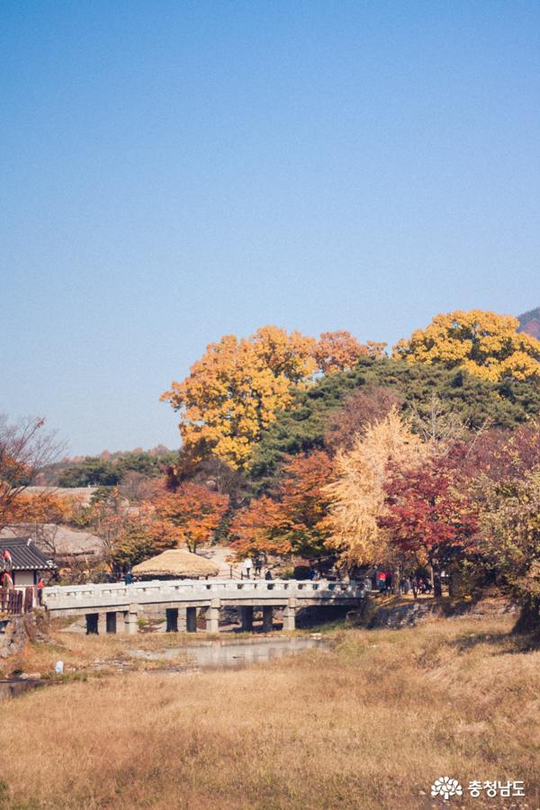 가을속에 풍덩 빠진 외암리민속마을 사진