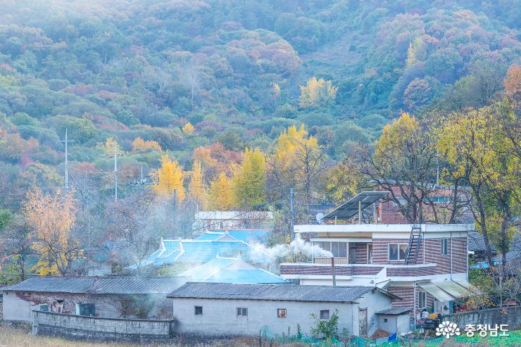 계룡산 기슭의 '가을 수채화' 사진