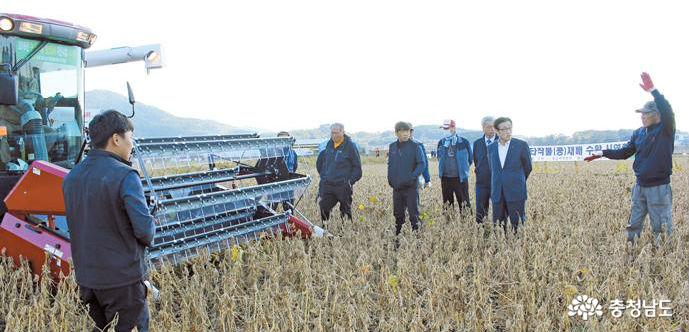 남포농협, 타작물 재배 콩 10a당 300㎏ 생산