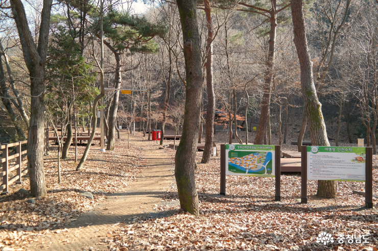 보령 성주산 자연휴양림 제 2캠핑장