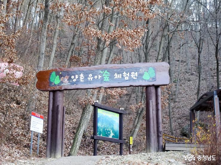 겨울정취가득논산양촌자연휴양림 9
