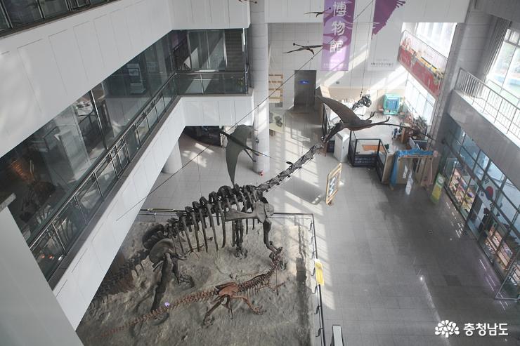공주가볼만한곳계룡산자연사박물관 2