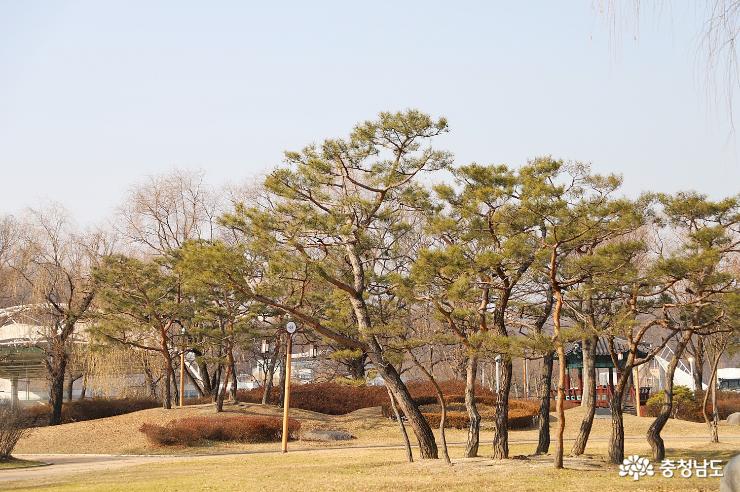 천안1경, 천안 삼거리공원 겨울 풍경 사진