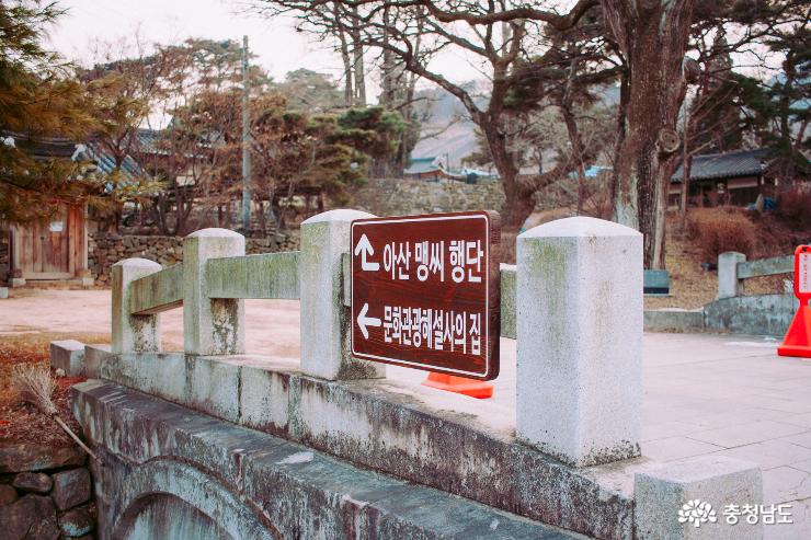 고불정신, 아산의 숨겨진 명소 "맹씨행단" 사진