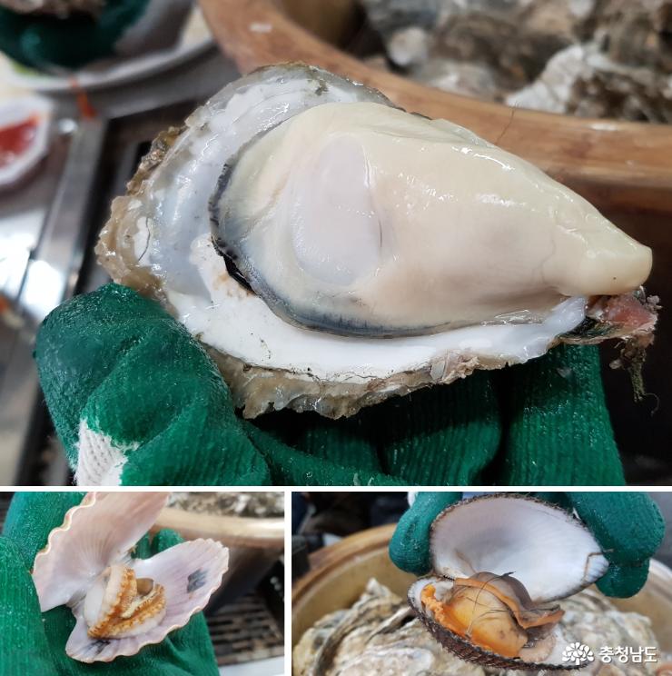 겨울의 별미 바다의 우유 굴 드시러 가세요~ 8