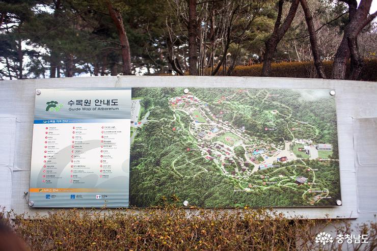 겨울 수목원을 걷다. 사진