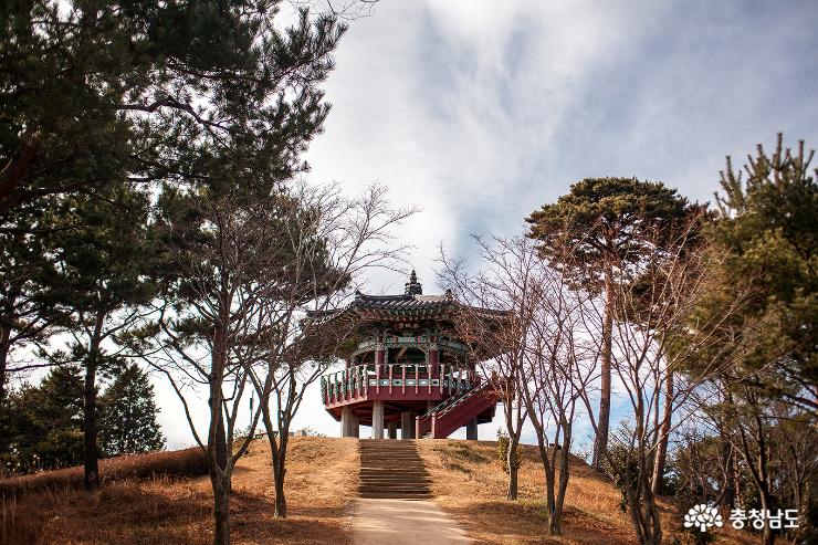 겨울 수목원을 걷다. 사진
