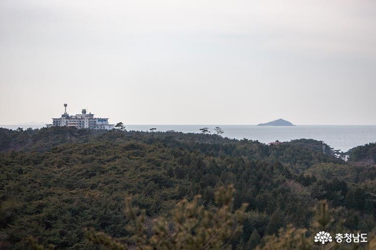 겨울 수목원을 걷다. 사진