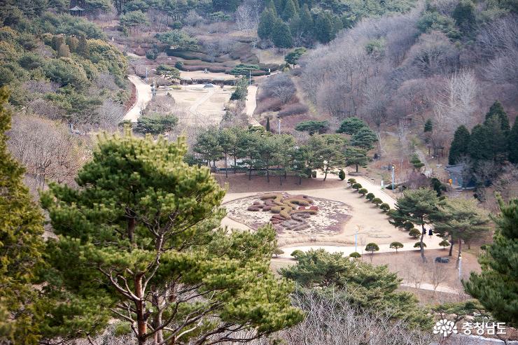 겨울 수목원을 걷다. 사진