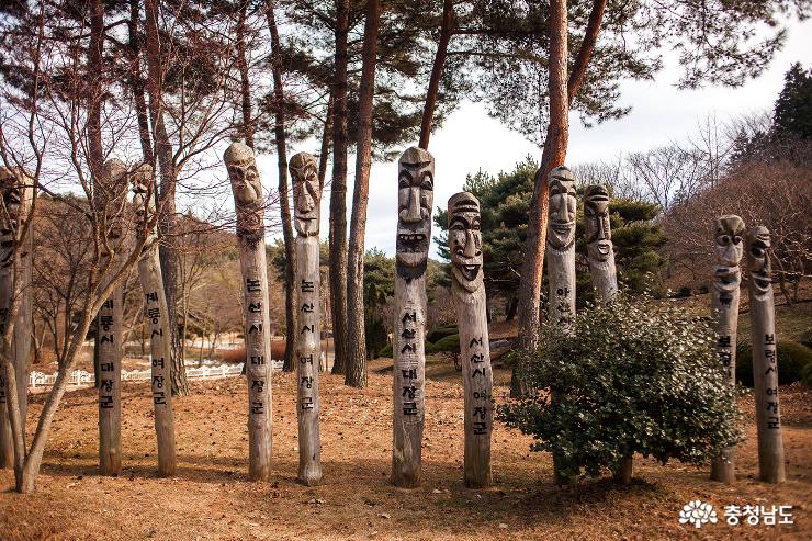 겨울 수목원을 걷다. 사진