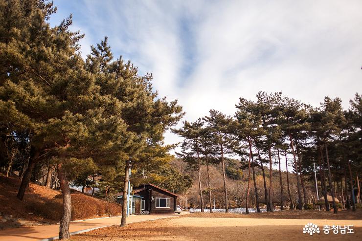 겨울 수목원을 걷다. 사진