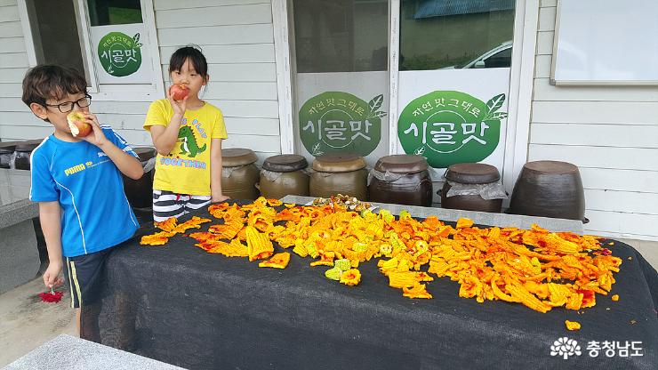 "내가 바로 충청남도 6차산업의 선구자" 13