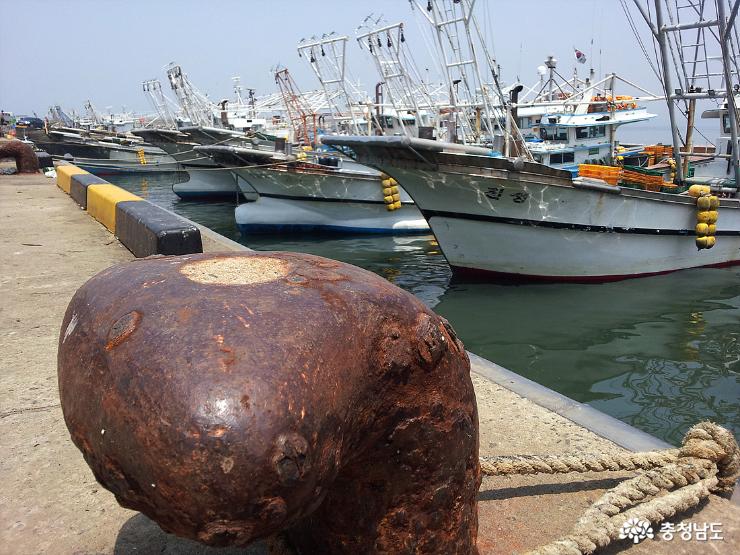 홍원항 포구. 배들이 정박해 있다.