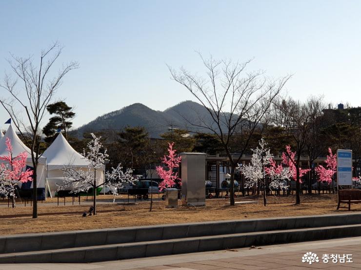 축제장 주변 경관