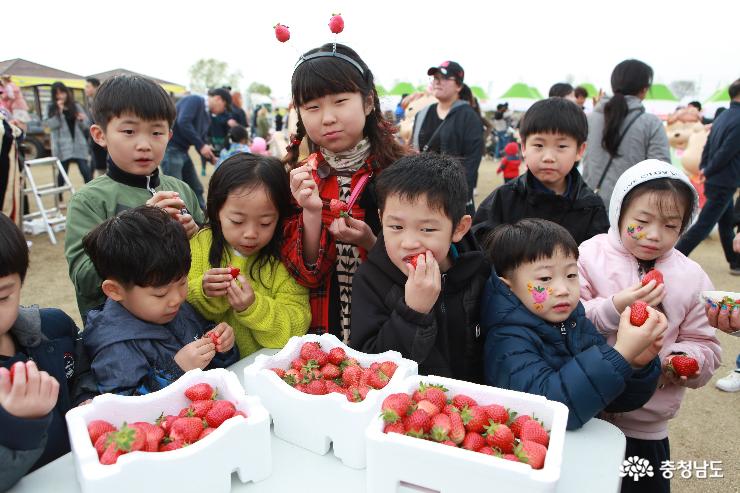 논산 딸기 축제 현장 (2018년 4월)