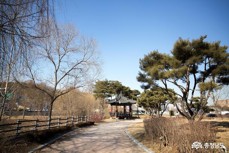 천안삼거리공원의 겨울 사진