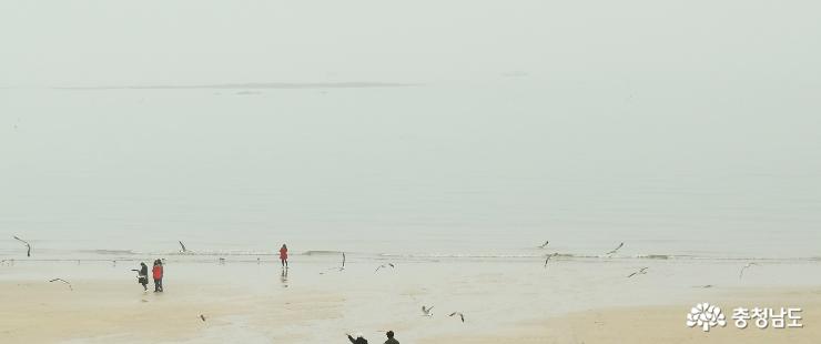 겨울 낭만 뿜뿜 ‘대천해수욕장’ 사진