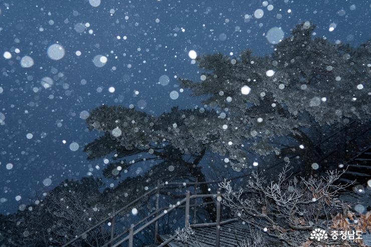 아직 끝나지 않은 계룡산의 겨울 사진