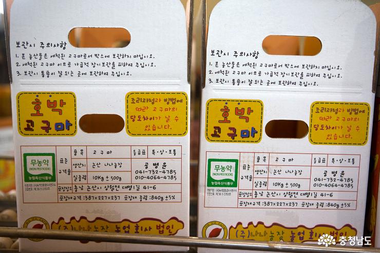 상월고구마로 즐기는 달콤하고 건강한 봄 5