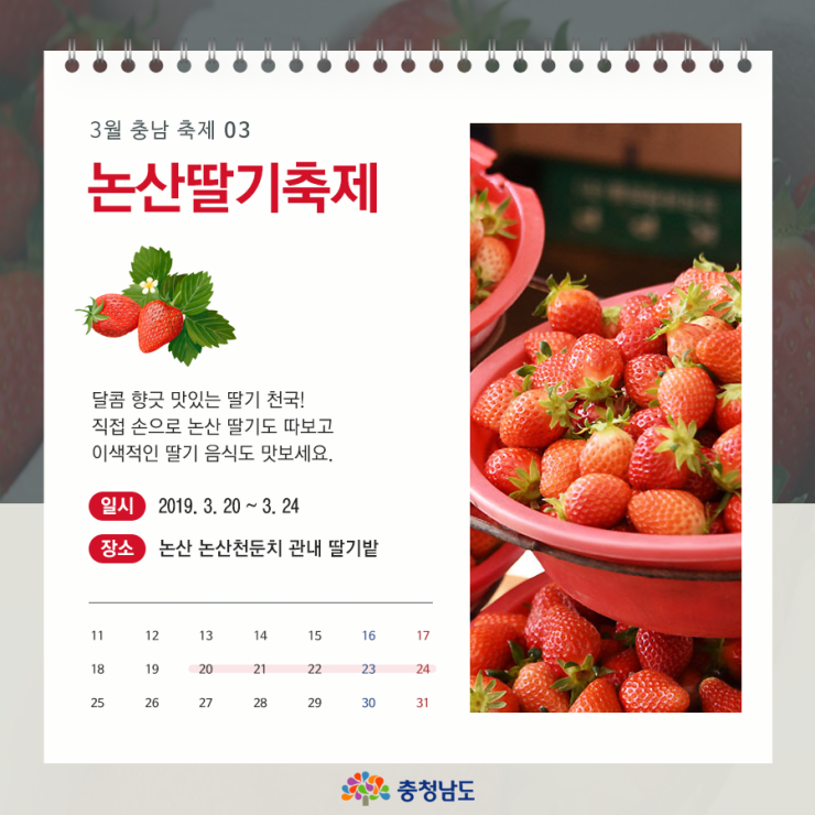논산딸기축제 - 정보
