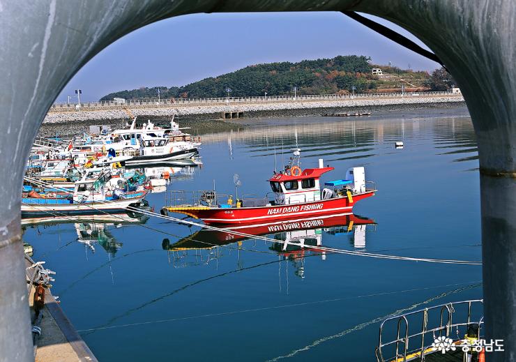 대숲과 바다를 조망하며 힐링하는 죽도 둘레길 사진