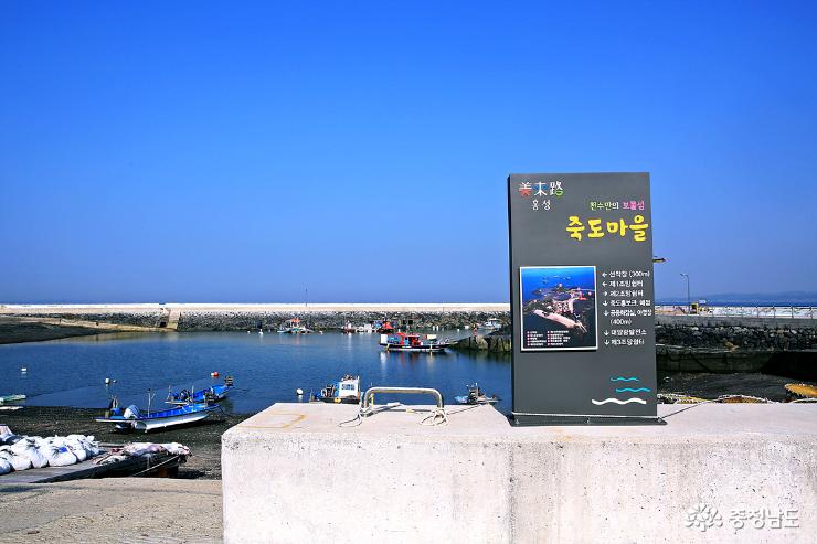 대숲과 바다를 조망하며 힐링하는 죽도 둘레길 사진