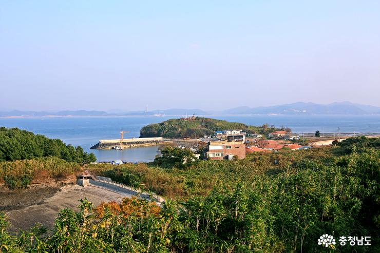 대숲과 바다를 조망하며 힐링하는 죽도 둘레길 14