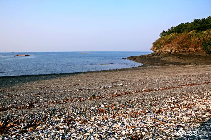 대숲과 바다를 조망하며 힐링하는 죽도 둘레길 16