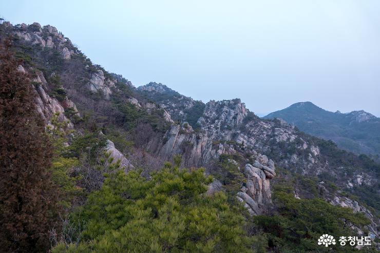 충남의 금강산 용봉산의 봄소식 사진