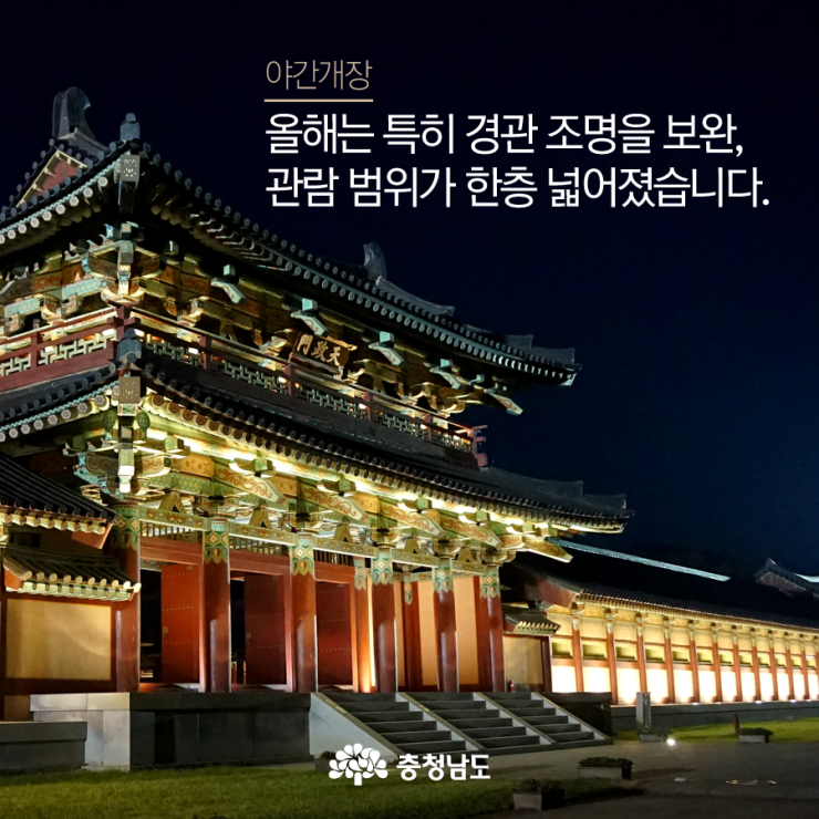 야간개장