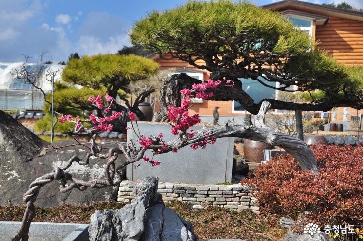 색다른 볼거리를 만끽할 수 있는 서천식물예술원 사진