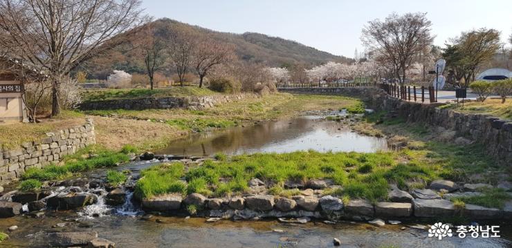 아산 외암민속마을 봄 풍경 사진