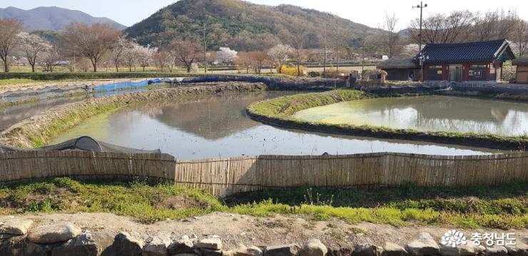 아산 외암민속마을 봄 풍경 사진