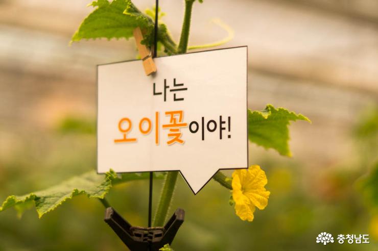 충남 농사랑 서포터즈가 직접 가본 우수농산물 생산지 8