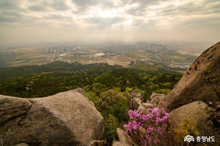 홍성 용봉산의 아침 사진