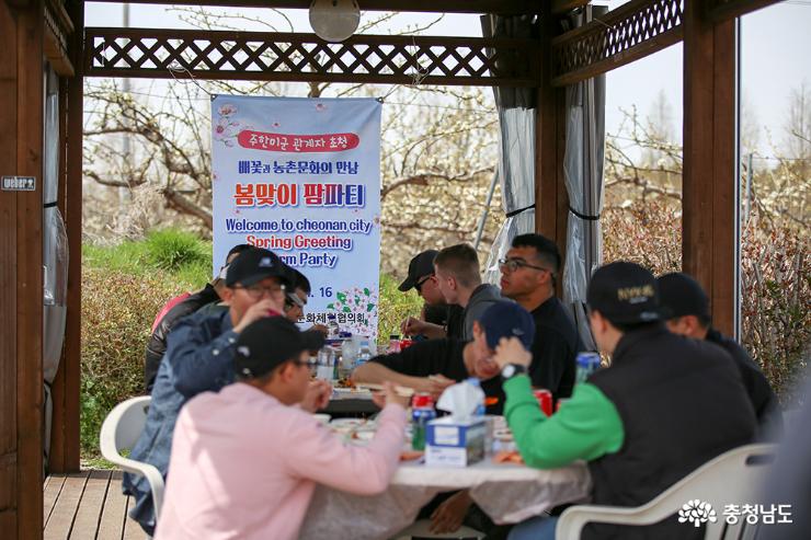봄맞이 팜파티 배꽃과 농촌문화의 만남 1