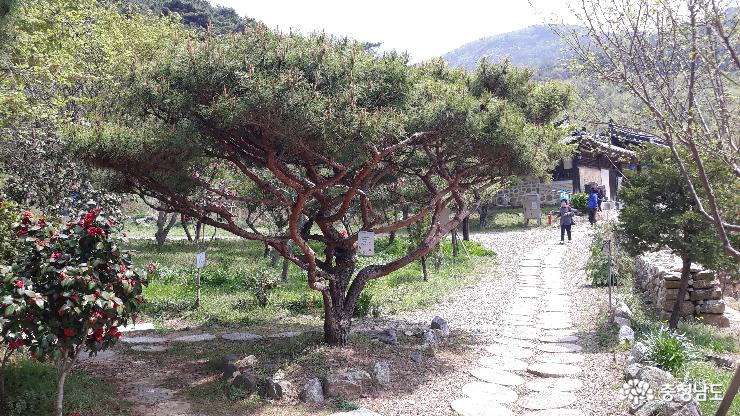 다섯을 잃고, 열을 채운 신원사 다녀온 날 4